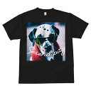 Tシャツ メンズ キッズ 犬ファン 半袖 春夏 プリント カジュアル かわいい 人間用 フィットネス マッチョ サングラス ダルメシアン コート ピンクの背景 ...
