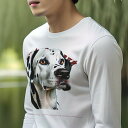 長袖Tシャツ 人間用 メンズ 秋春夏 プリント レジャー アウトドア カジュアル かわいい 犬ファン アート ダルメシアン テキスト