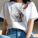 Tシャツ レディース 犬ファン 半袖 春夏 犬柄 プリント カジュアル かわいい 人間用 フィットネス ダンス メガネ プードル 首輪 ハート 疑問符(4)