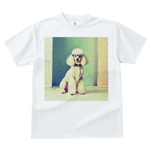 Tシャツ レディース 犬ファン 半袖 春夏 犬柄 プリント カジュアル かわいい 人間用 フィットネス ダンス メガネ プードル 背景