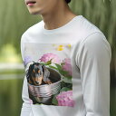長袖Tシャツ 人間用 メンズ 秋春夏 プリント レジャー アウトドア カジュアル かわいい 犬ファン バケツ ダックスフンド 紫陽花 花 緑の葉