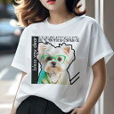 Tシャツ レディース 犬ファン 半袖 春夏 犬柄 プリント カジュアル かわいい 人間用 フィットネス ダンス 眼鏡 マルチーズ グリーンの眼鏡 緑のセーター カーリーヘア