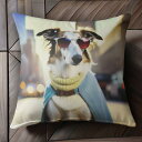 サングラス BorderCollie 青いコート マフラー 街 自動車 クッションカバー 45×45cm アニマル柄 おしゃれ 可愛い クッション本体付き 正方...