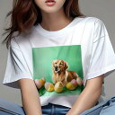 Tシャツ レディース 犬ファン 半袖 春夏 犬柄 プリント カジュアル かわいい 人間用 フィットネス ダンス サングラス サルーキ 黄色いコート 都市の背景 ...
