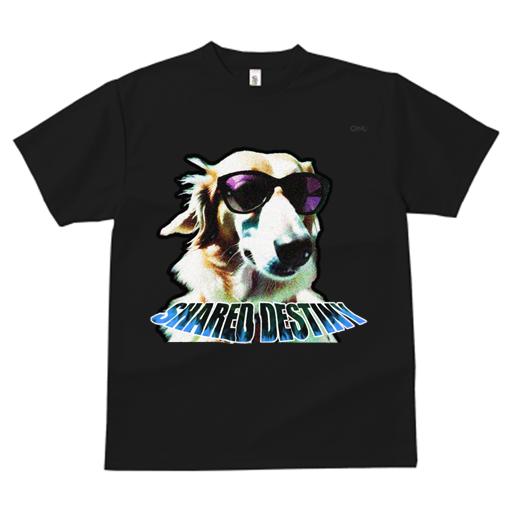 Tシャツ メンズ キッズ 犬ファン 半袖 春夏 犬柄 プリント カジュアル かわいい 人間用 フィットネス ダンス サングラス ゴールデンレトリバー テキスト