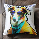 サングラス ボーダーコリー スカーフ コート クッションカバー 45×45cm アニマル柄 おしゃれ 可愛い クッション本体付き 正方形 犬ファン