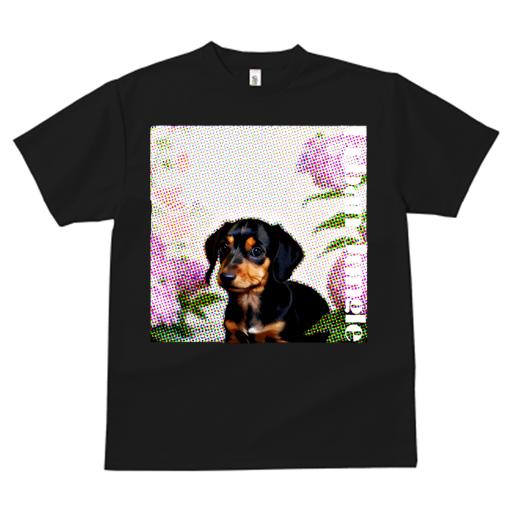 Tシャツ レディース 犬ファン 半袖 春夏 犬柄 プリント カジュアル かわいい 人間用 フィットネス ダンス ドット柄 ダックスフンド 花 都市ジャングル