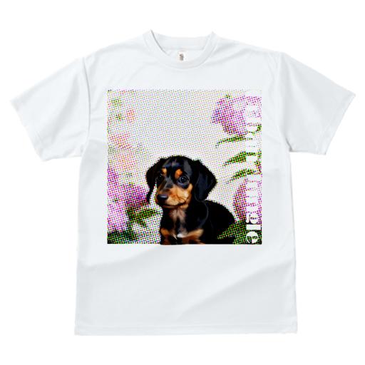 Tシャツ レディース 犬ファン 半袖 春夏 犬柄 プリント カジュアル かわいい 人間用 フィットネス ダンス ドット柄 ダックスフンド 花 都市ジャングル