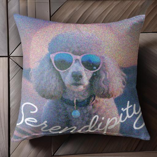 サングラス プードル セレンディピティ クッションカバー 45×45cm アニマル柄 おしゃれ 可愛い クッション本体付き 正方形 犬ファン