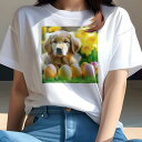 Tシャツ レディース 犬ファン 半袖 春夏 犬柄 プリント カジュアル かわいい 人間用 フィットネス ダンス たまご ゴールデンレトリバー 花 草
