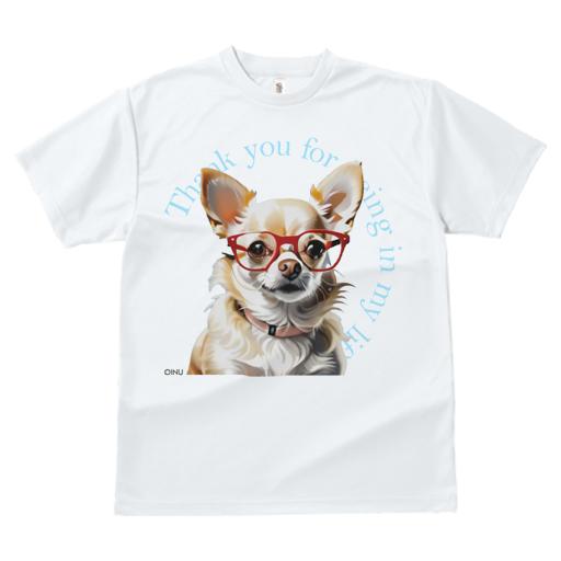 Tシャツ レディース 犬ファン 半袖 春夏 犬柄 プリント カジュアル かわいい 人間用 フィットネス ダンス メガネ チワワ セーター