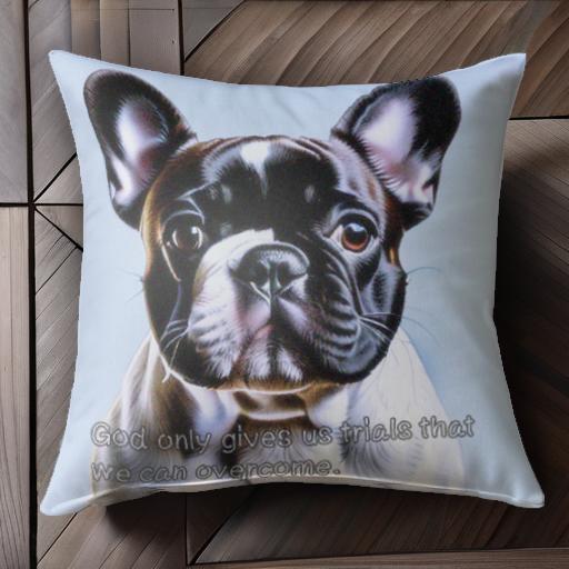 青い背景 フレンチブルドッグ かわいい犬 コミカル クッションカバー 45×45cm アニマル柄 おしゃれ 可愛い クッション本体付き 正方形 犬ファン