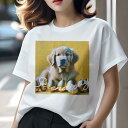 Tシャツ レディース 犬ファン 半袖 春夏 犬柄 プリント カジュアル かわいい 人間用 フィットネス ダンス 金色 ゴールデンレトリバー タマゴ 黄色の背景(4)