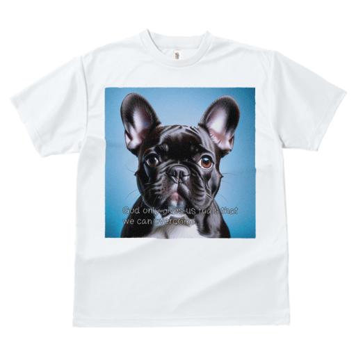 Tシャツ レディース 犬ファン 半袖 春夏 犬柄 プリント カジュアル かわいい 人間用 フィットネス ダンス 青背景 フレンチブルドッグ