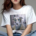 Tシャツ レディース 犬ファン 半袖 春夏 犬柄 プリント カジュアル かわいい 人間用 フィットネス ダンス サングラス ボルゾイ コート 町