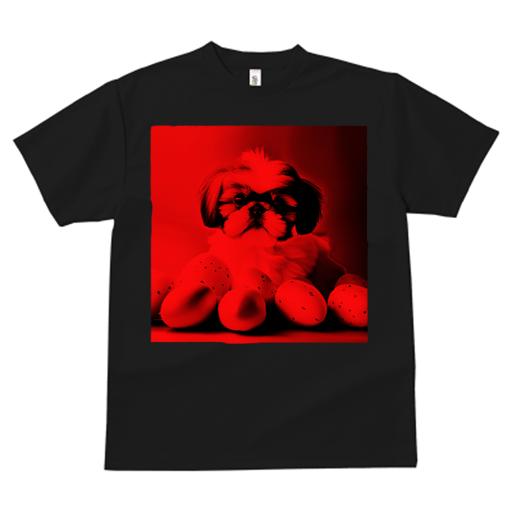 Tシャツ レディース 犬ファン 半袖 春夏 犬柄 プリント カジュアル かわいい 人間用 フィットネス ダンス 卵 シーズー