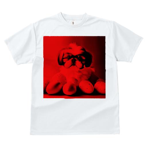 Tシャツ レディース 犬ファン 半袖 春夏 犬柄 プリント カジュアル かわいい 人間用 フィットネス ダンス 卵 シーズー