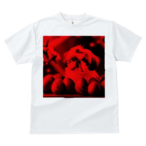 Tシャツ レディース 犬ファン 半袖 春夏 犬柄 プリント カジュアル かわいい 人間用 フィットネス ダンス イースターエッグ シーズー リボン 花