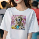 Tシャツ レディース 犬ファン 半袖 春夏 犬柄 プリント カジュアル かわいい 人間用 フィットネス ダンス イースターエッグ ゴールデンレトリバー シャボン玉 ピンク背景