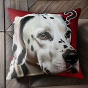 赤い背景 ダルメシアン 質問マーク クッションカバー 45×45cm アニマル柄 おしゃれ 可愛い クッション本体付き 正方形 犬ファン