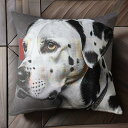 白黒 ダルメシアン 犬 首輪 クッションカバー 45×45cm アニマル柄 おしゃれ 可愛い クッション本体付き 正方形 犬ファン