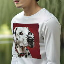 長袖Tシャツ 人間用 メンズ 秋春夏 プリント レジャー アウトドア カジュアル かわいい 犬ファン 赤い背景 ダルメシアン 赤い首輪