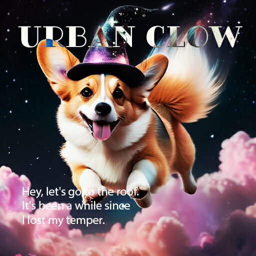 魔法の帽子 コーギー ナイトスカイ 雲 クッションカバー 45×45cm アニマル柄 おしゃれ 可愛い クッション本体付き 正方形 犬ファン 2