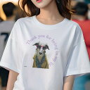 Tシャツ レディース 犬ファン 半袖 春夏 犬柄 プリント カジュアル かわいい 人間用 フィットネス ダンス サングラス ボルゾイ コート スカーフ