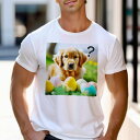 Tシャツ メンズ キッズ 犬ファン 半袖 春夏 犬柄 プリント カジュアル かわいい 人間用 フィットネス ダンス たまご ゴールデンレトリバー 草 クエスチョンマーク