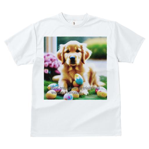Tシャツ レディース 犬ファン 半袖 春夏 犬柄 プリント カジュアル かわいい 人間用 フィットネス ダンス イースターエッグ ゴールデンレトリバー 草 花