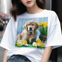 Tシャツ メンズ キッズ 犬ファン 半袖 春夏 犬柄 プリント カジュアル かわいい 人間用 フィットネス ダンス チューリップ ゴールデンレトリバー バスケットボール 木製の背景 草