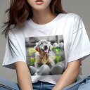 Tシャツ レディース 犬ファン 半袖 春夏 犬柄 プリント カジュアル かわいい 人間用 フィットネス ダンス たまご ゴールデンレトリバー パーティーナイト