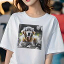 Tシャツ レディース 犬ファン 半袖 春夏 犬柄 プリント カジュアル かわいい 人間用 フィットネス ダンス パーティーナイト ゴールデンレトリバー たまご ボール 草地