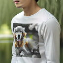 長袖Tシャツ 人間用 メンズ 秋春夏 プリント レジャー アウトドア カジュアル かわいい 犬ファン パーティーナイト ゴールデンレトリバー たまご ボール 草地