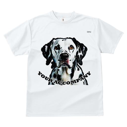 Porter Classic - C/S ZIP-UP TURTLENECK - NAVY