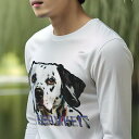 長袖Tシャツ 人間用 メンズ 秋春夏 プリント レジャー アウトドア カジュアル かわいい 犬ファン なし ダルメシアン
