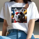 Tシャツ レディース 犬ファン 半袖 春夏 犬柄 プリント カジュアル かわいい 人間用 フィットネス ダンス サングラス シベリアンハスキー 夜景 イルミネーション 赤いスカーフ