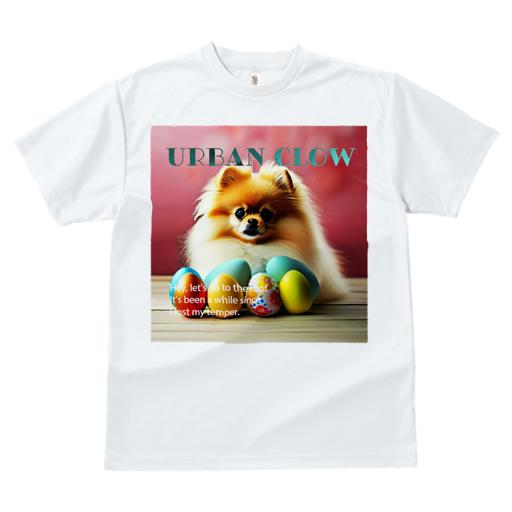 Tシャツ レディース 犬ファン 半袖 春夏 犬柄 プリント カジュアル かわいい 人間用 フィットネス ダンス イースターエッグ ポメラニアン 赤背景