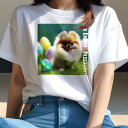 Tシャツ レディース 犬ファン 半袖 春夏 犬柄 プリント カジュアル かわいい 人間用 フィットネス ダンス カラフルな卵 ポメラニアン 都市ジャングル(4)