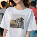 Tシャツ レディース 犬ファン 半袖 春夏 犬柄 プリント カジュアル かわいい 人間用 フィットネス ダンス サングラス ボーダーコリー コート 夕日