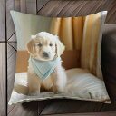子犬 ゴールデンレトリバー スカーフ 寝台 カーテン クッションカバー 45×45cm アニマル柄 おしゃれ 可愛い クッション本体付き 正方形 犬ファン