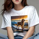 Tシャツ レディース 犬ファン 半袖 春夏 犬柄 プリント カジュアル かわいい 人間用 フィットネス ダンス サーフィン ゴールデンレトリーバー 夕日 海 ビーチ(4)