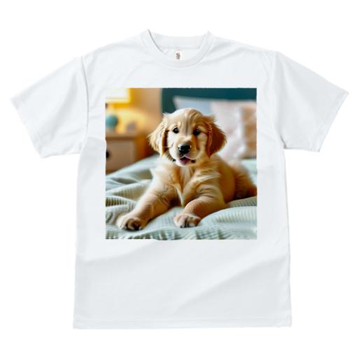 Tシャツ レディース 犬ファン 半袖 春夏 犬柄 プリント カジュアル かわいい 人間用 フィットネス ダンス ベッド ゴールデンレトリバー ランプ 枕