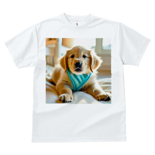 Tシャツ レディース 犬ファン 半袖 春夏 犬柄 プリント カジュアル かわいい 人間用 フィットネス ダンス ベッド ゴールデンレトリバー 夕日 なだらかな毛