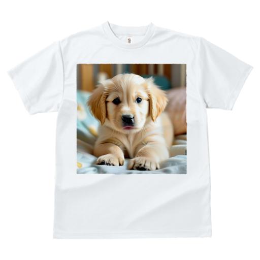 Tシャツ レディース 犬ファン 半袖 春夏 犬柄 プリント カジュアル かわいい 人間用 フィットネス ダンス 子犬 ゴールデンレトリバー かわいい リラックス ベッド