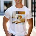 Tシャツ メンズ キッズ 犬ファン 半袖 春夏 犬柄 プリント カジュアル かわいい 人間用 フィットネス ダンス ベッド ゴールデンレトリバー カーテン(4)