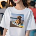 Tシャツ レディース 犬ファン 半袖 春夏 犬柄 プリント カジュアル かわいい 人間用 フィットネス ダンス サーフボード ゴールデンレトリバー ビーチ 海(4)