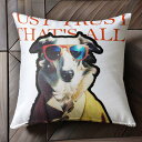 サングラス 不明 コート テキスト 犬 クッションカバー 45×45cm アニマル柄 おしゃれ 可愛い クッション本体付き 正方形 犬ファン