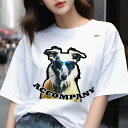 Tシャツ メンズ キッズ 犬ファン 半袖 春夏 犬柄 プリント カジュアル かわいい 人間用 フィットネス ダンス サングラス コリー コート