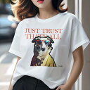 Tシャツ レディース 犬ファン 半袖 春夏 犬柄 プリント カジュアル かわいい 人間用 フィットネス ダンス サングラス 不明 コート テキスト 犬